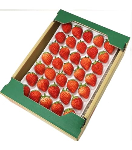 Amazon.co.jp: 【☆加工用 夏秋いちご】常識を超えた甘さ「夏いちご